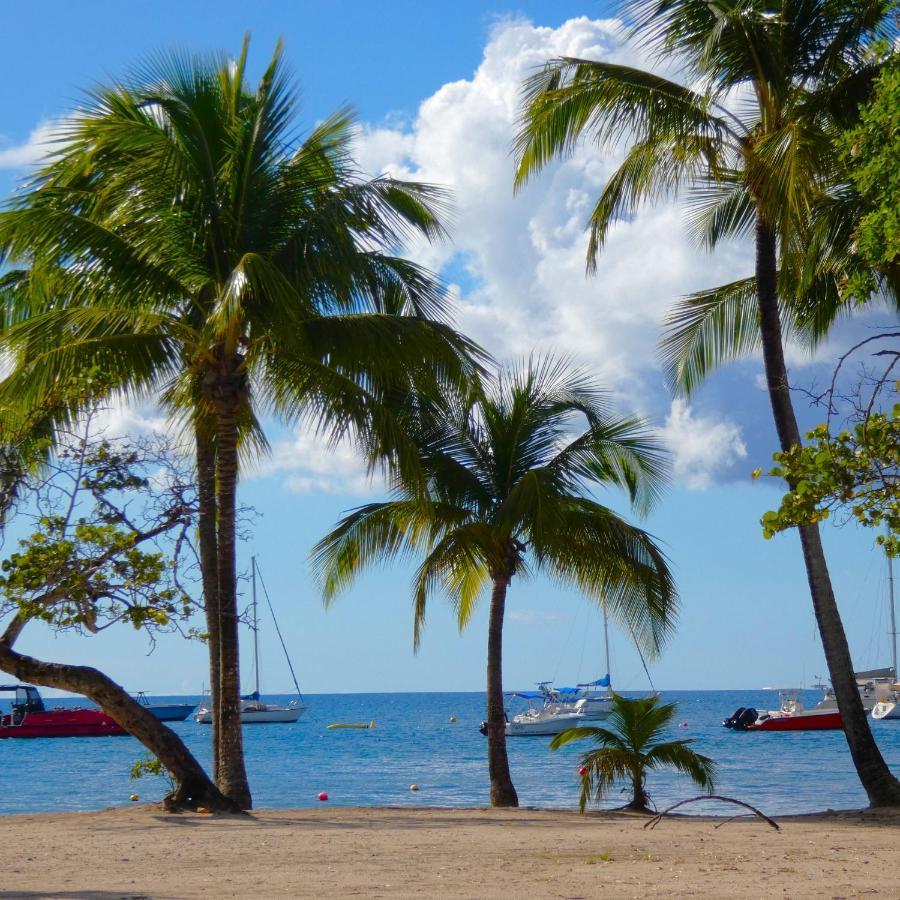 La Plage - Mer Des Caraibes A 30M Les Trois-Ilets Eksteriør billede